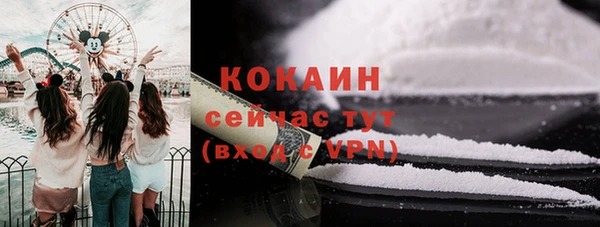кокс Арсеньев